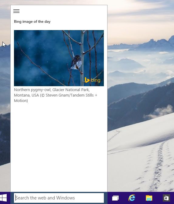 Windows 10 - The Search Bar